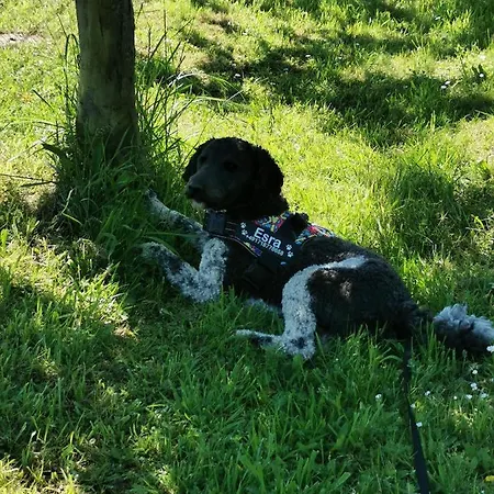 Hof Albersmeier Huettinghausen / Urlaub Am Stall *