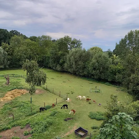 Hof Albersmeier Huettinghausen / Urlaub Am Stall Appartement Lippetal