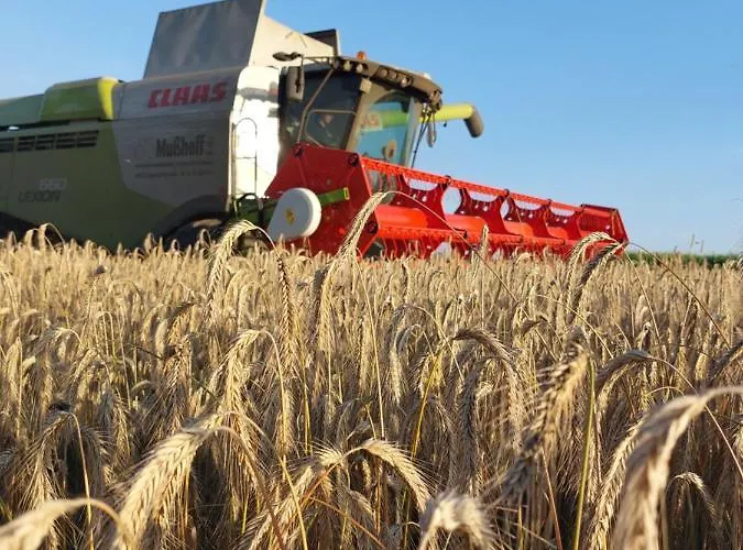 Hof Albersmeier Huettinghausen / Urlaub Am Stall