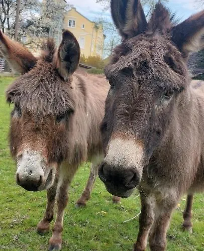 Hof Albersmeier Huettinghausen / Urlaub Am Stall * Lippetal