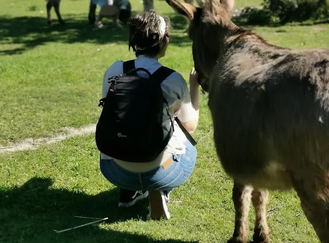 Appartement Hof Albersmeier Huettinghausen / Urlaub Am Stall