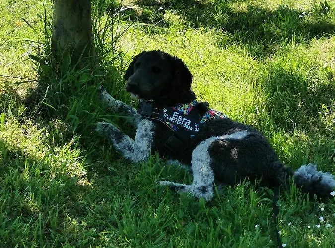 Hof Albersmeier Huettinghausen / Urlaub Am Stall *