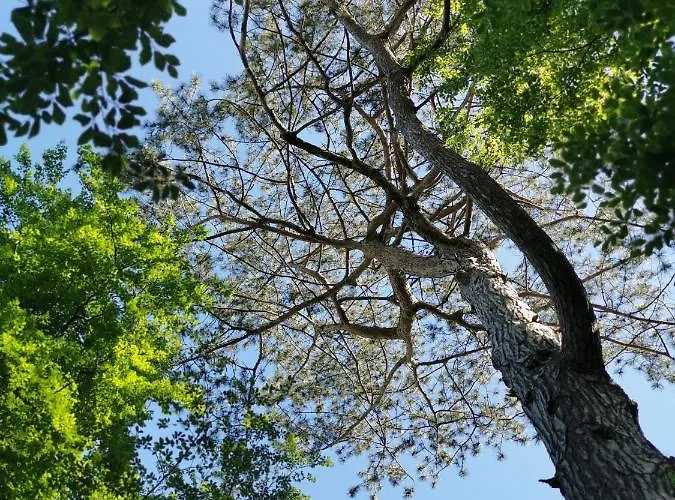 Lejlighed Hof Albersmeier Huettinghausen / Urlaub Am Stall *