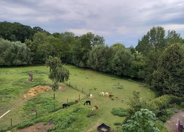Hof Albersmeier Huettinghausen / Urlaub Am Stall Lejlighed Lippetal